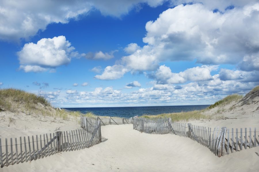 Your Ultimate Guide to the Best Beaches in Provincetown, MA Admiral's